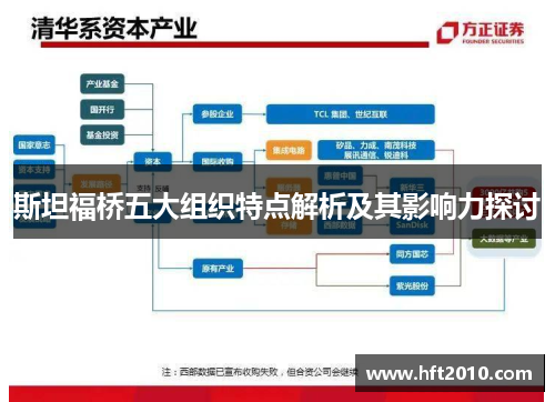斯坦福桥五大组织特点解析及其影响力探讨